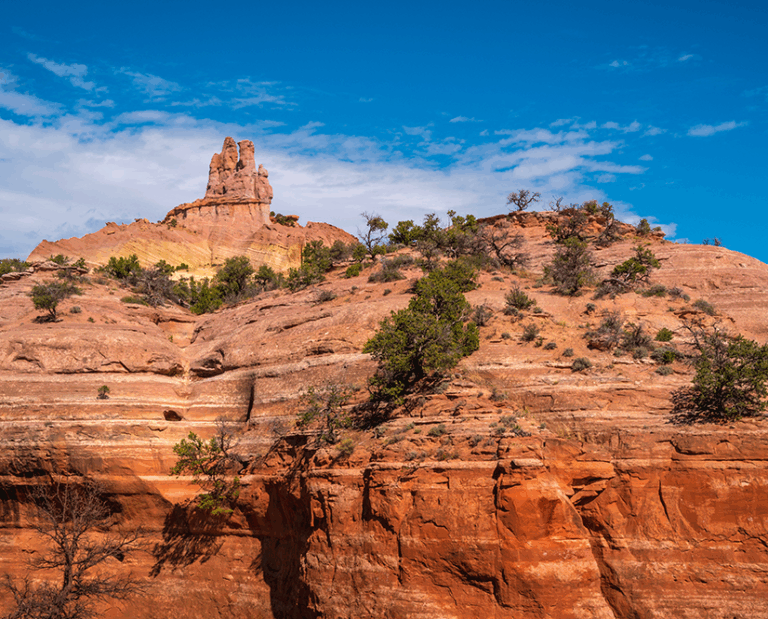 Red sandstone rock formations with sparse vegetation and green shrubs under a bright blue sky with scattered clouds.