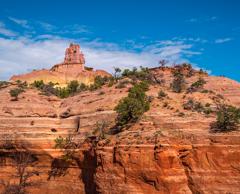 Red sandstone rock formations with sparse vegetation and green shrubs under a bright blue sky with scattered clouds.